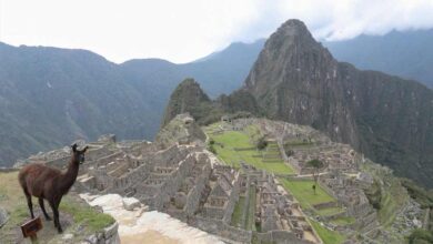 Peru comienza a participar en la feria de turismo mas