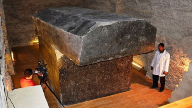 Este antiguo sarcofago del serapeum podria ser una tumba anunnaki