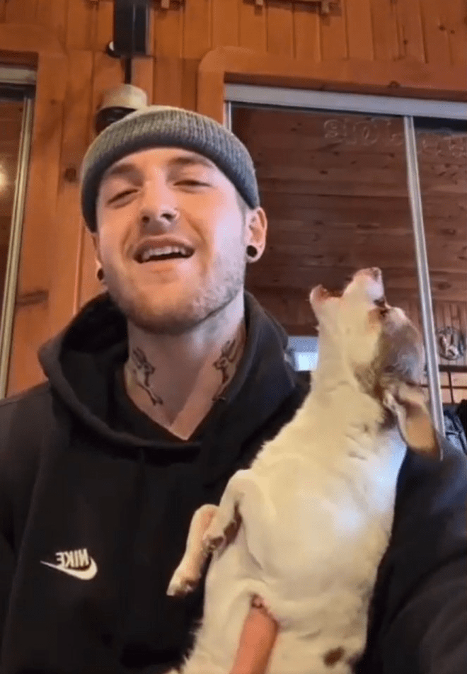 1643500658 334 chihuahua se une a sus duenos en un duo de