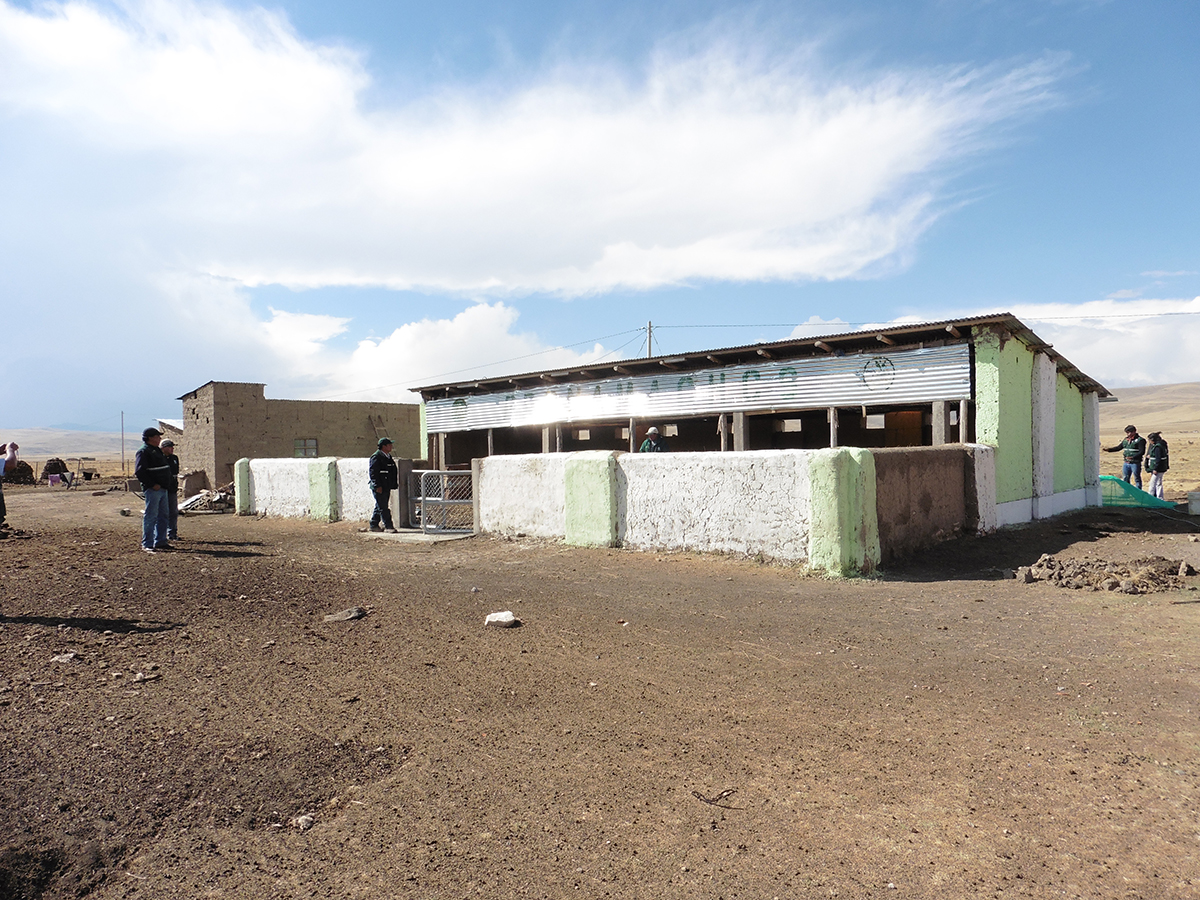 Agro Rural instaló 139 galpones en cinco provincias de la región Puno para proteger al ganado 1 Agro Rural instalo 139 galpones en cinco provincias de la