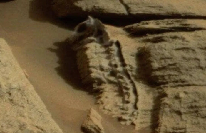 Olvidate del agua en marte dinosaurio fosilizado encontrado en el