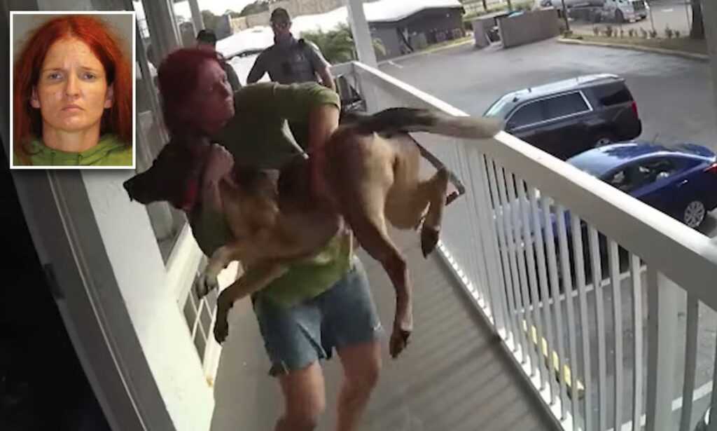 Perro arrojado desde el balcon encuentra amor y carino en