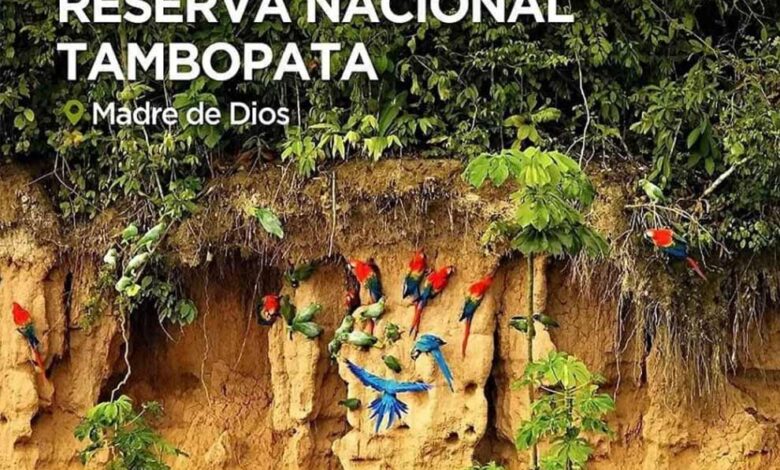 Reserva nacional tambopata enamorate de esta rama del eden en