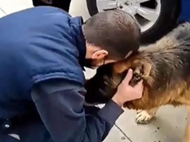 1644106255 967 el conmovedor perro regresa con su familia despues de 7