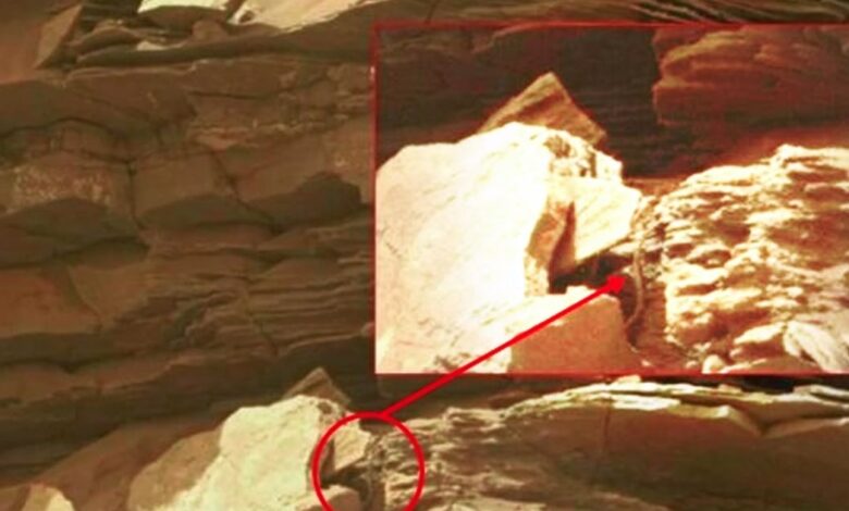 Señales de vida extraterrestre descubiertas en Marte escondidas a simple vista - OVNI y misterios 1 1644606481 senales de vida extraterrestre descubiertas en marte escondidas a simple