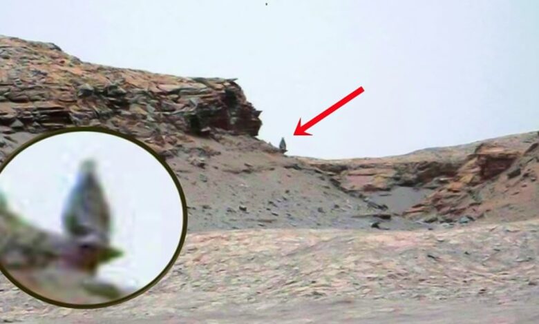 1644692980 posible estatua antigua encontrada en el planeta marte ovni