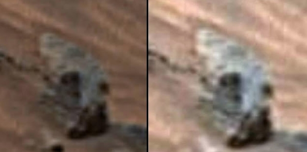 1645125265 281 ¿posible craneo alargado encontrado en el planeta marte ovni
