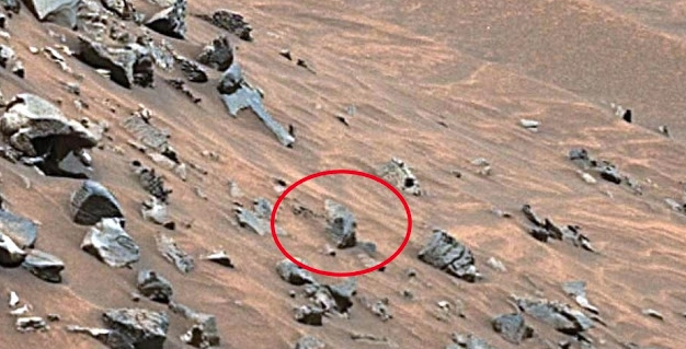 1645125265 943 ¿posible craneo alargado encontrado en el planeta marte ovni