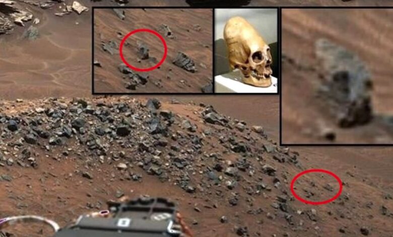 ¿Posible cráneo alargado encontrado en el planeta Marte? - OVNI y misterios 1 1645125266 ¿posible craneo alargado encontrado en el planeta marte ovni