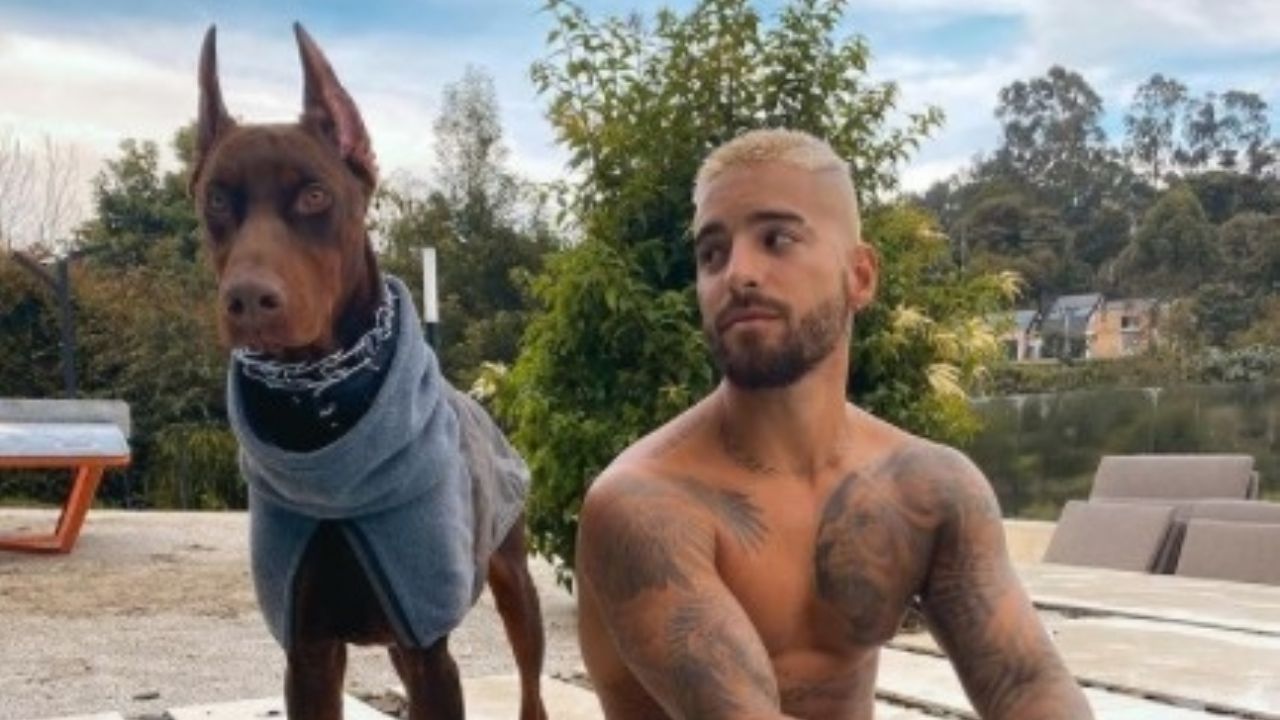 Maluma dijo que su perro lo atacó, dejándole cicatrices en la cara 1 1645749381 Maluma dijo que su perro lo ataco dejandole cicatrices en