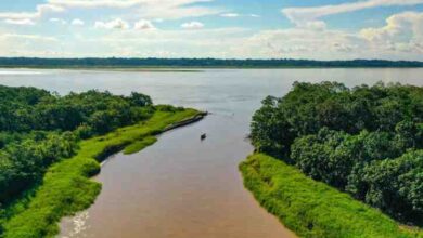 Coloso fluvial la amazonia celebra 480 anos de su descubrimiento