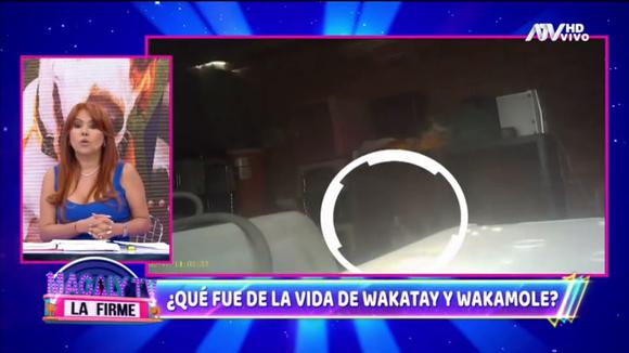 Magaly Medina a Cassandra y Deyvis: "Si me tiran lodo, tengo que contar todo lo que sé" 2 Magaly Medina revela que las mascotas de Deyvis Orosco viven en un albergue y encerradas en jaulas