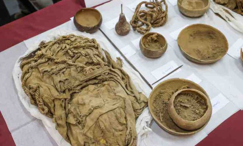 Momias de Cajamarquilla: ¿sacrificio humano o muerte por enfermedad? 1 Momias de cajamarquilla ¿sacrificio humano o muerte por enfermedad