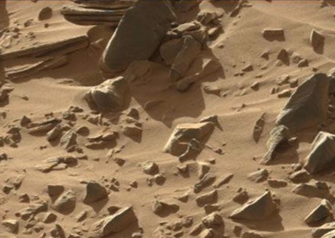 Posibles restos de un humanoide reptiliano descubiertos en dino gap