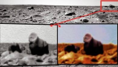 Seres hibridos descubiertos por mars rover tal vez esto prueba