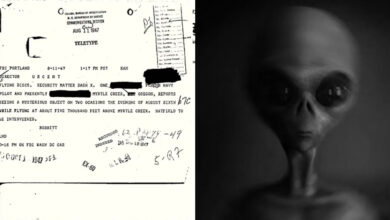 1646249413 el informe desclasificado del fbi describe extraterrestres etereos y seres