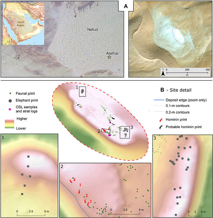 1646422343 233 huellas humanas de 120000 anos descubiertas recientemente en arabia saudita