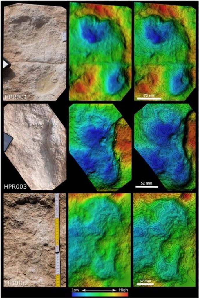 1646422344 320 huellas humanas de 120000 anos descubiertas recientemente en arabia saudita