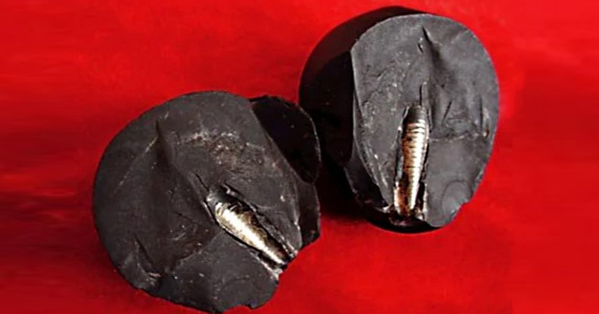 La misteriosa piedra de Lanzhou: ¿Evidencia de una civilización prehistórica avanzada? - OVNI y misterios 1 1647287306 La misteriosa piedra de Lanzhou ¿Evidencia de una civilizacion prehistorica