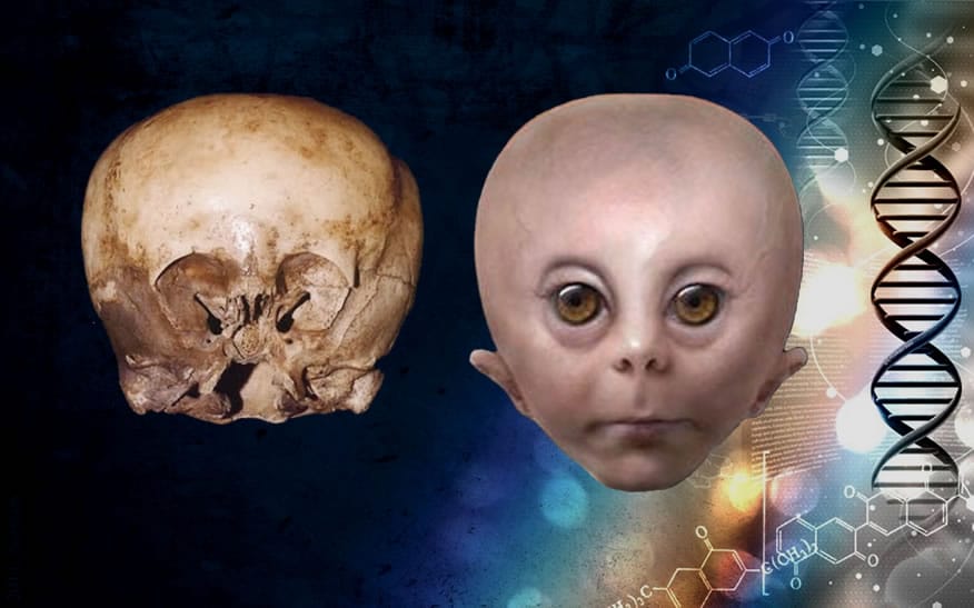 1647460258 629 la calavera del nino de las estrellas un descubrimiento