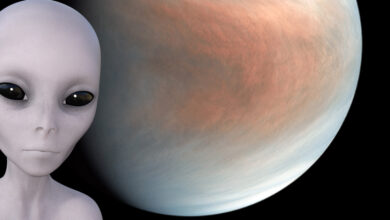 1648065582 se descubrieron signos de vida extraterrestre en el planeta venus