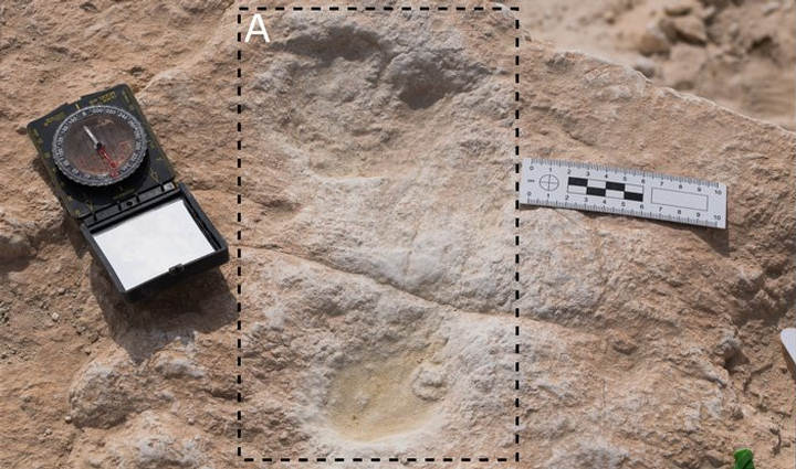 Huellas humanas de 120000 anos descubiertas recientemente en arabia saudita
