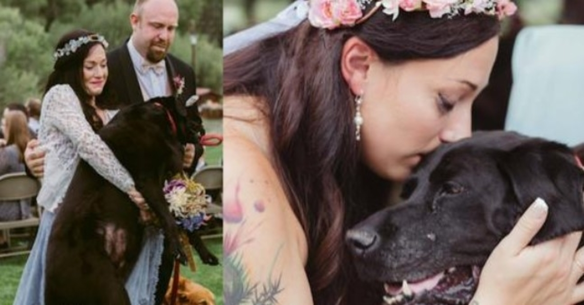 El perro moribundo de la novia fue llevado al altar y no quedó ni un ojo seco 1 1649307865 El perro moribundo de la novia fue llevado al altar