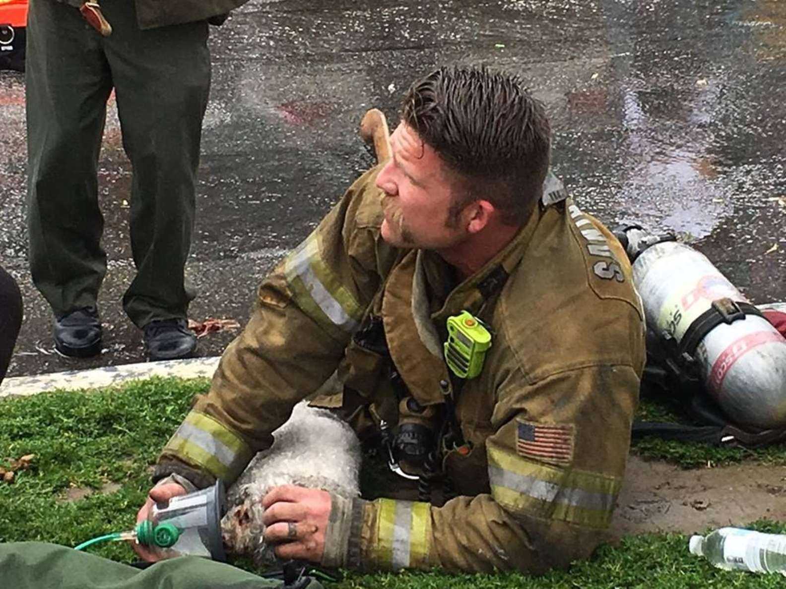 1649480794 232 bombero se niega a renunciar a rescatar a un cachorro