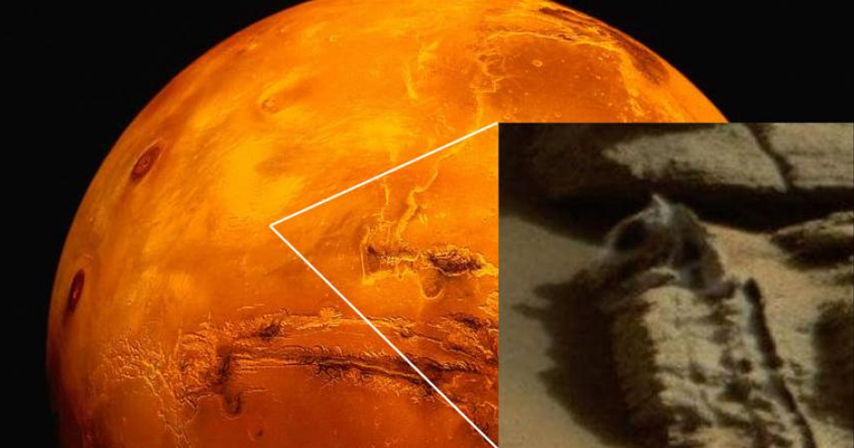 ¡Olvídate del agua en Marte! ¡Se ha descubierto un dinosaurio fosilizado! - OVNI y misterios 1 1649968431 ¡Olvidate del agua en Marte ¡Se ha descubierto un dinosaurio