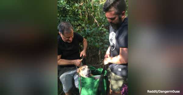 1651335637 369 excursionistas encuentran a un perro desaparecido durante casi un mes