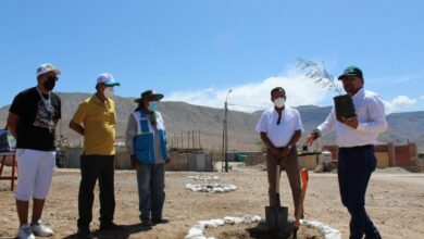 Arequipa celebra por primera vez el dia del huarango