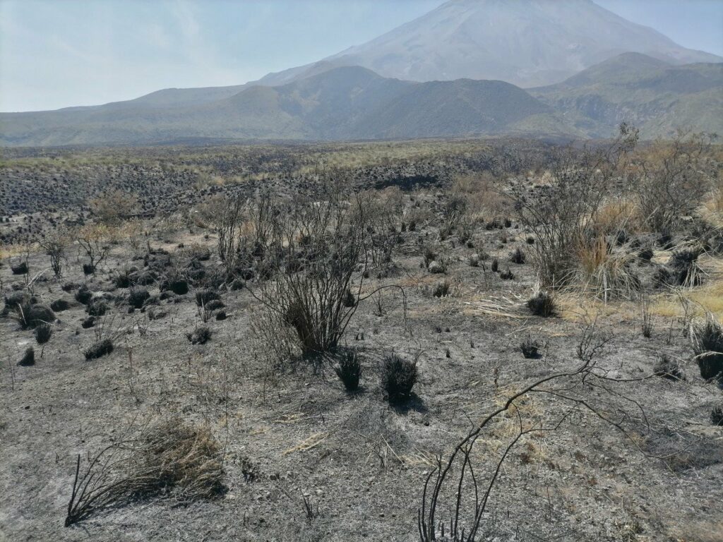 Incendio en misti arrasa mas de 273 hectareas epa
