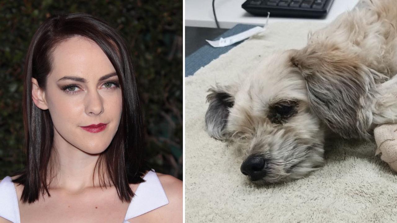 La actriz Jena Malone persigue a un hombre que abusa