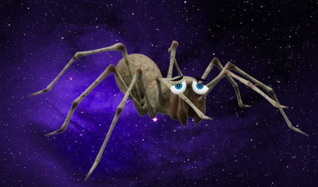 Sabias que la NASA envia aranas al espacio OVNI