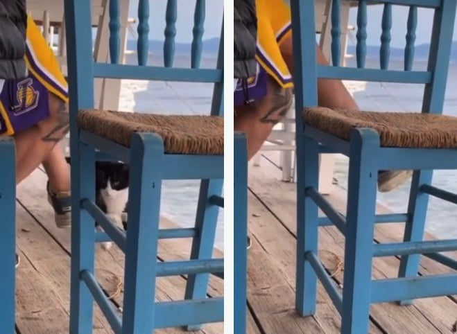 1651768232 271 hombre filmado pateando gatito en el mar en grecia se