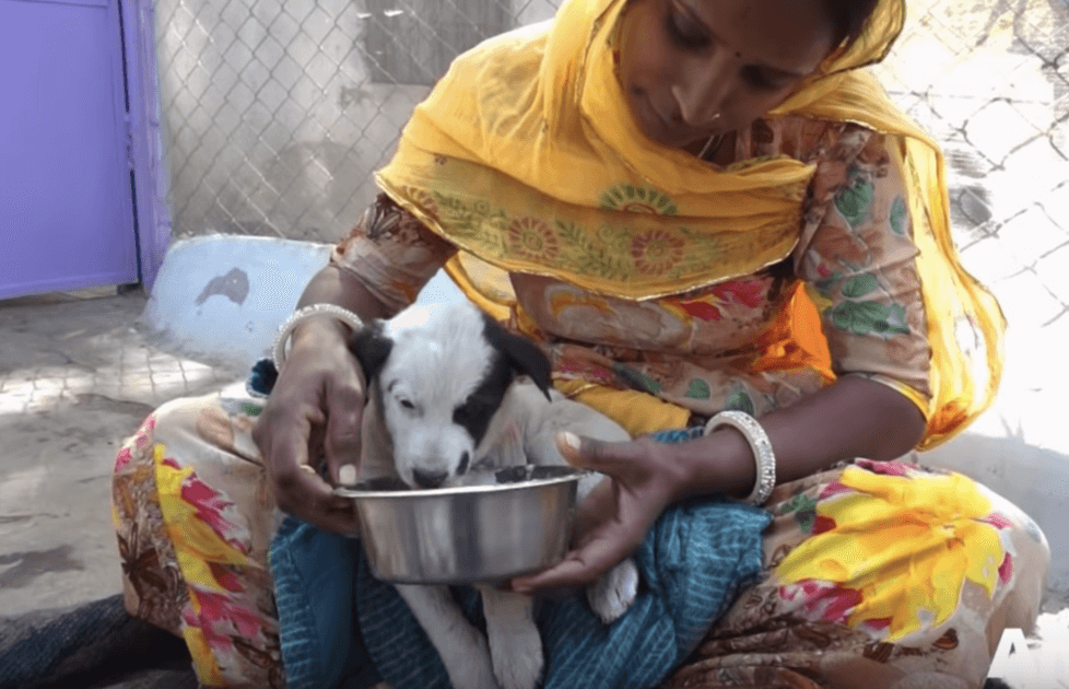 1652633157 302 la madre lloro en voz alta por su cachorro aferrandose