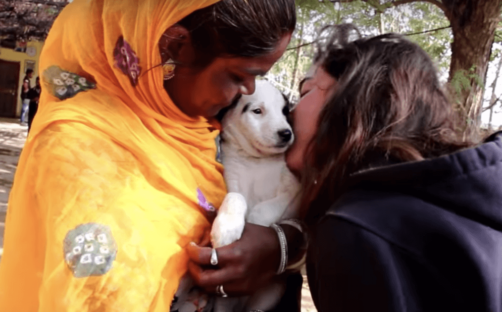 1652633158 140 La madre lloro en voz alta por su cachorro aferrandose