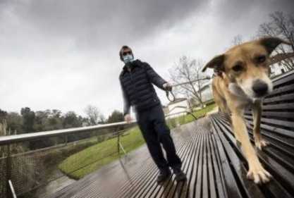 1653704073 839 un vagabundo enfermo se niega a cambiar a su perro