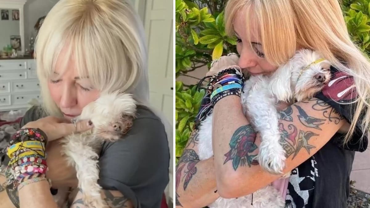 Perro ciego y sordo que nunca antes había conocido el amor ahora baila lentamente con su nuevo dueño todos los días 1 1653704844 Perro ciego y sordo que nunca antes habia conocido el