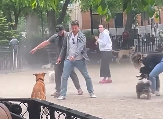 1654050805 260 una rata causa estragos en un parque para perros de