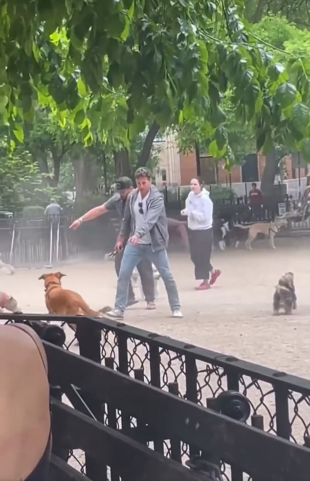 1654050805 400 una rata causa estragos en un parque para perros de