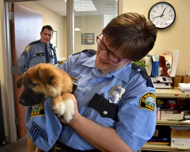 El departamento de policia contrata a un adorable cachorro de. Webp