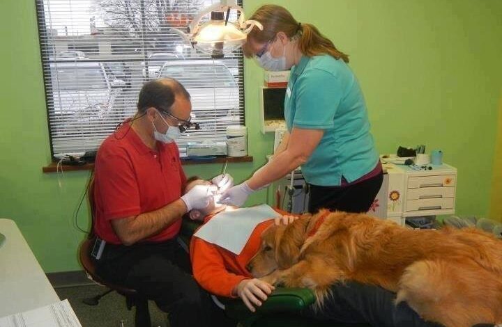 Carolina del Norte regula los perros en la odontología 1 1655087748 carolina del norte regula los perros en la odontologia