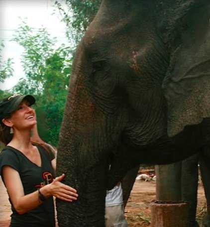 1656039263 209 Perro se niega a separarse de su amigo elefante en