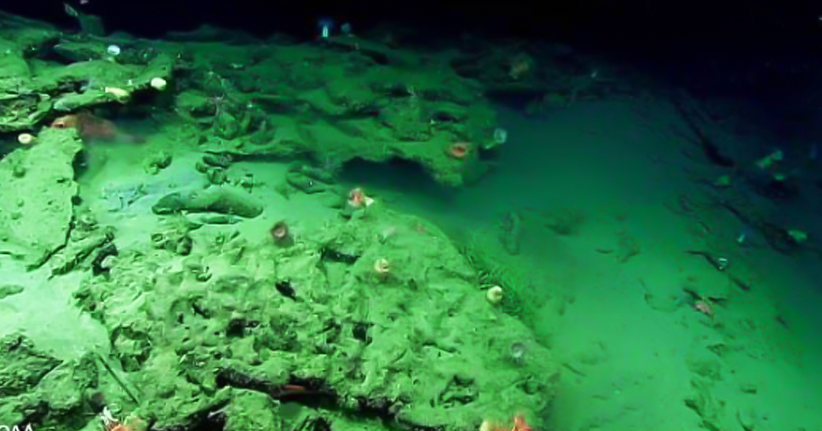 Extrana anomalia de sonar detectada en la costa de Carolina