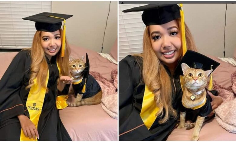 Lindo gatito "se graduó" de la universidad después de tomar todas las clases de Zoom con su dueña 1 Lindo gatito se graduo de la universidad despues de tomar