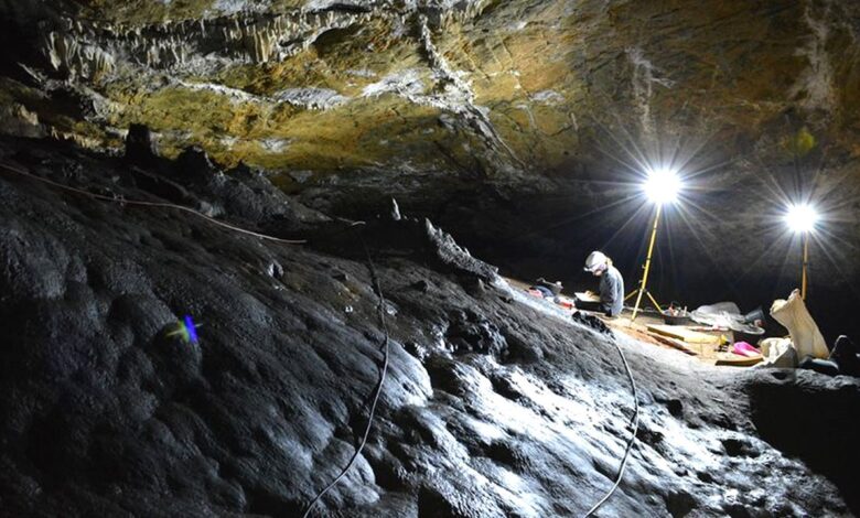 Cueva ardales excavaciones portada