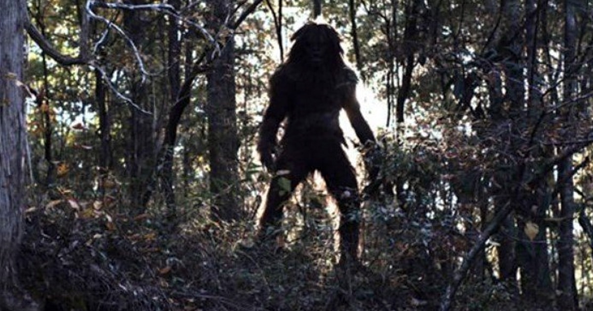 Exsoldado afirma que Bigfoot puede ser en realidad un ser transdimensional: OVNI y misterios 1 1656731259 Exsoldado afirma que Bigfoot puede ser en realidad un ser