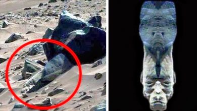 1658549226 este misterioso rostro tolteca fue descubierto en marte ovni