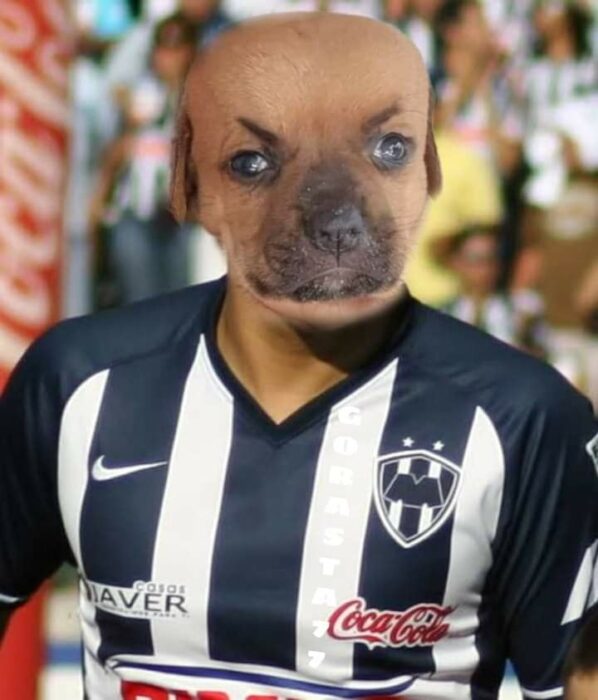 1659242497 182 chupete el cachorro que nadie quiere adoptar por el tamano